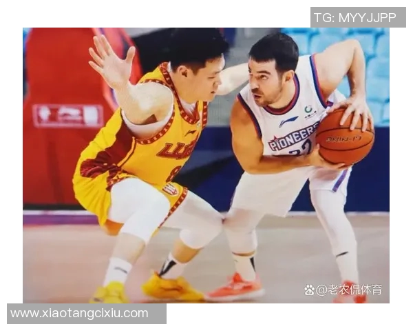 成都排球队节奏引发热议球迷与教练的观点碰撞解析