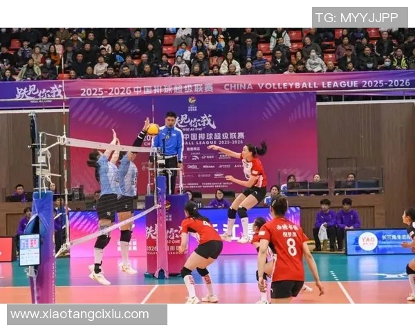 杭州排球队比赛经验引发热议球迷对表现和策略展开激烈讨论