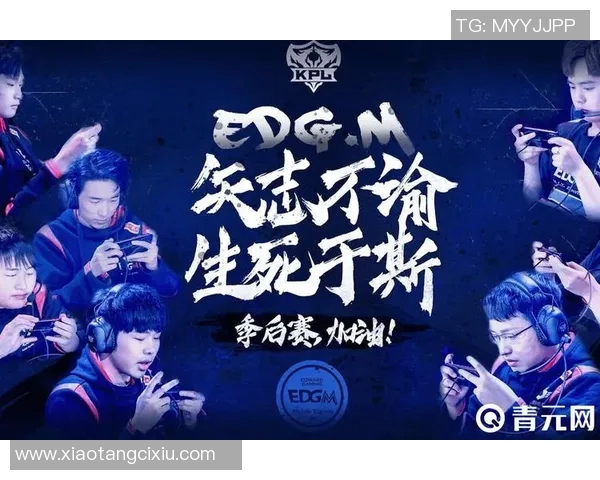 深入分析EDG战队阵地战策略与战术执行的精髓