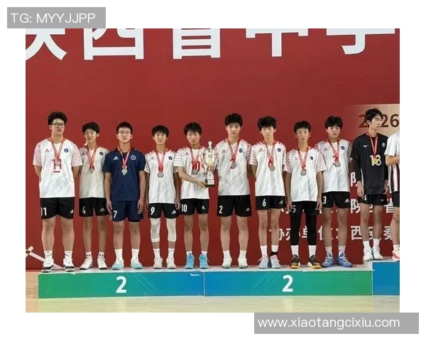 西安排球队的团队协作探讨与排球竞技精神的深度融合