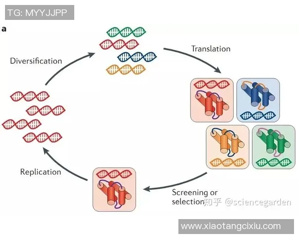 奥大利亚与泰国的精彩对决揭示足球世界的无限可能性与激情