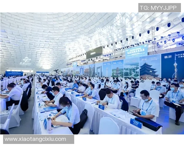 尼日利亚与俄罗斯的经济合作与文化交流新机遇探讨