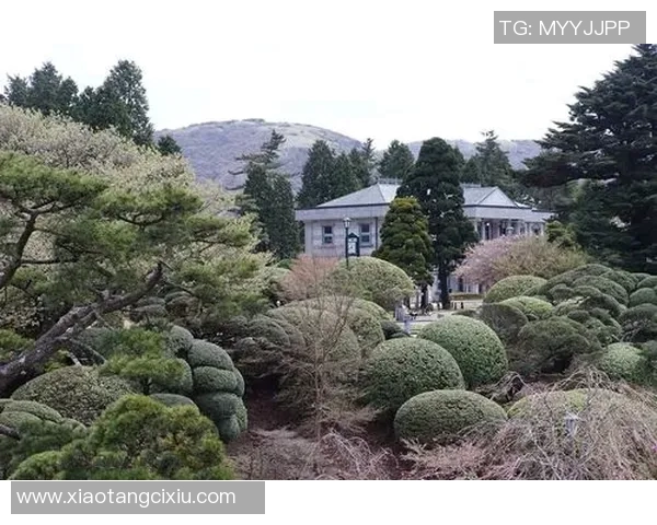 探索哈德森的魅力与历史深度揭示这座城市的独特文化与风景之旅