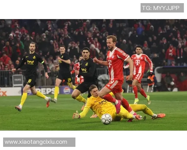 拜仁慕尼黑对阵汉堡精彩高清录播回顾与分析