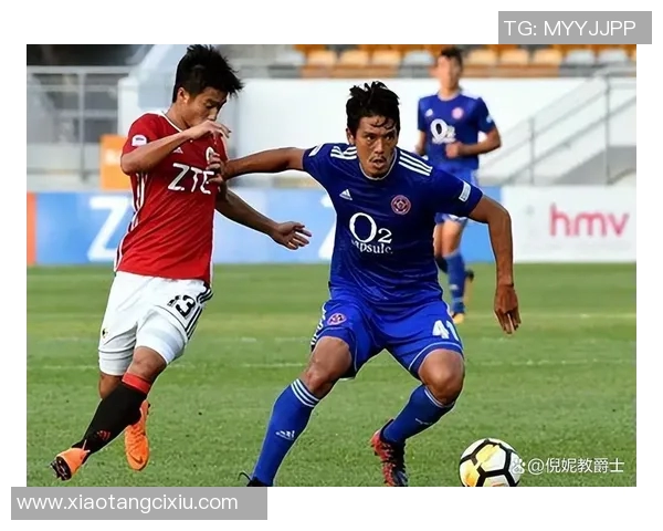 本深红迎战福冈黄蜂力争主场全取三分争夺积分榜优势