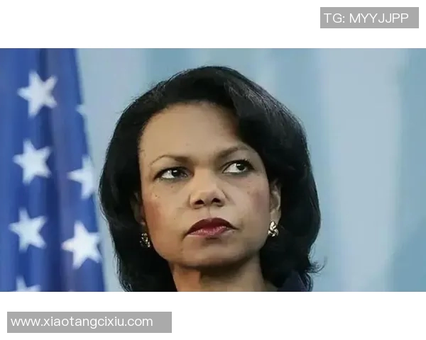 赖斯的外交智慧与全球影响力分析：重塑国际关系的新视角