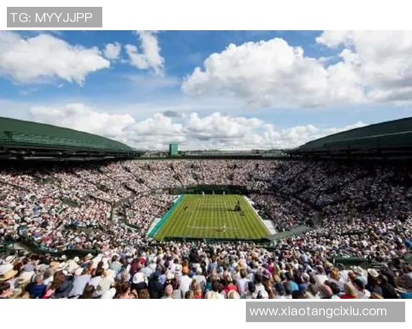 重庆网球队在世界锦标赛中的状态分析与表现评估