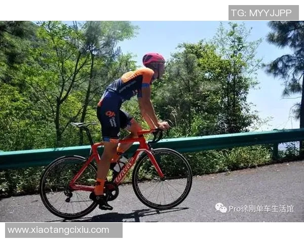 陈强独家分享排球心得与技巧助你提升竞技水平和团队配合能力