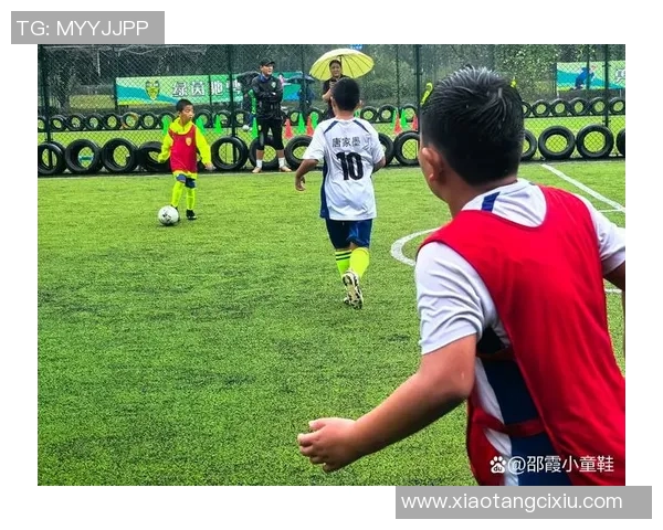 麦卡利斯特的传奇人生与足球梦想的交织之路