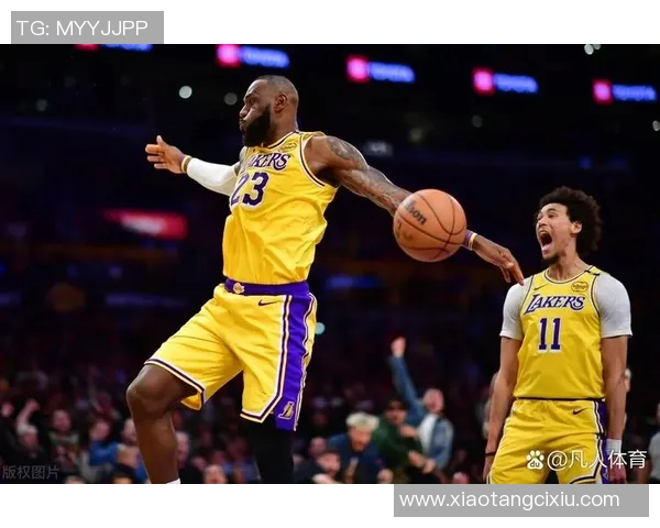 2013年NBA总决赛热火与湖人对决的传奇时刻与篮球历史的深远影响 2013年NBA总决赛热火与湖人对决的传奇时刻与篮球历史的深远影响