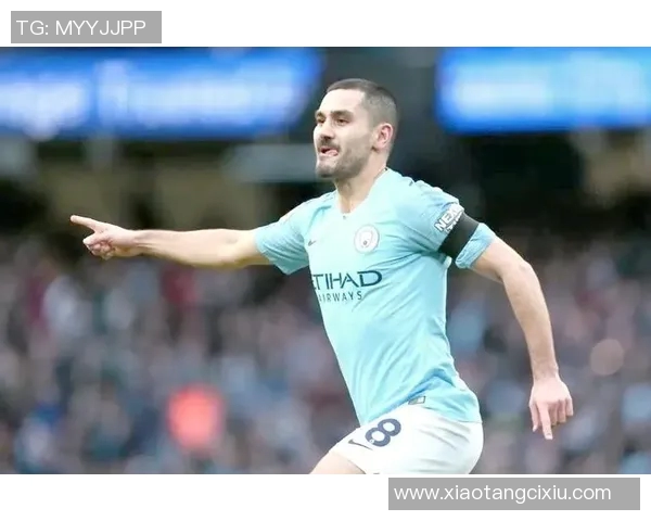 京多安的足球之路：从德甲新星到英超传奇的成长历程与影响