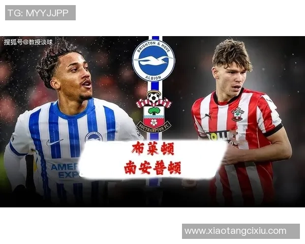 南安普顿对阵布莱顿直播赛程分析及精彩瞬间回顾