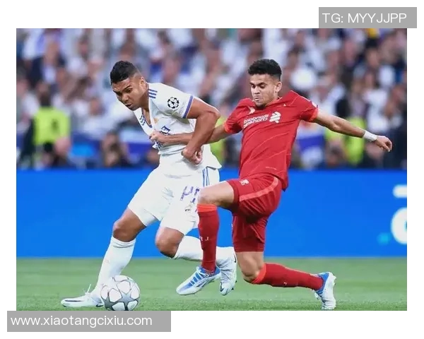 卡塞米罗的足球之路：从巴西小将到欧洲顶级中场的辉煌历程